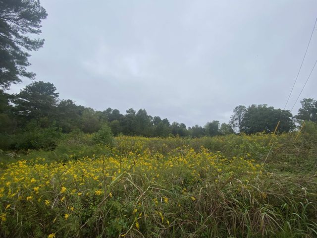 740 Cornelius Street, Hillsborough, NC 27278