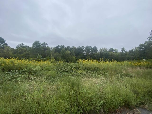 740 Cornelius Street, Hillsborough, NC 27278