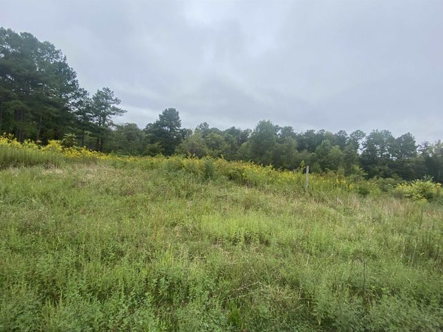 740 Cornelius Street, Hillsborough, NC 27278