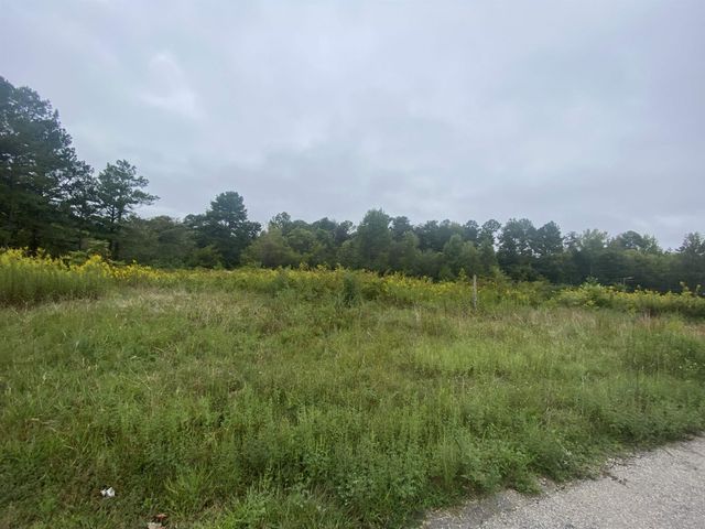 740 Cornelius Street, Hillsborough, NC 27278