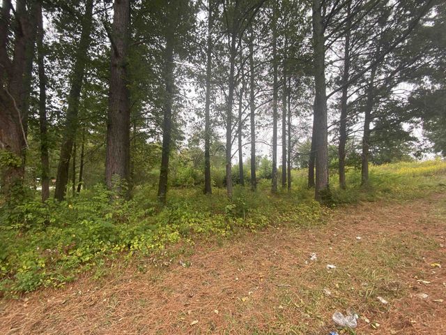 740 Cornelius Street, Hillsborough, NC 27278