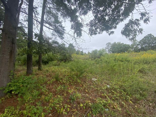 740 Cornelius Street, Hillsborough, NC 27278