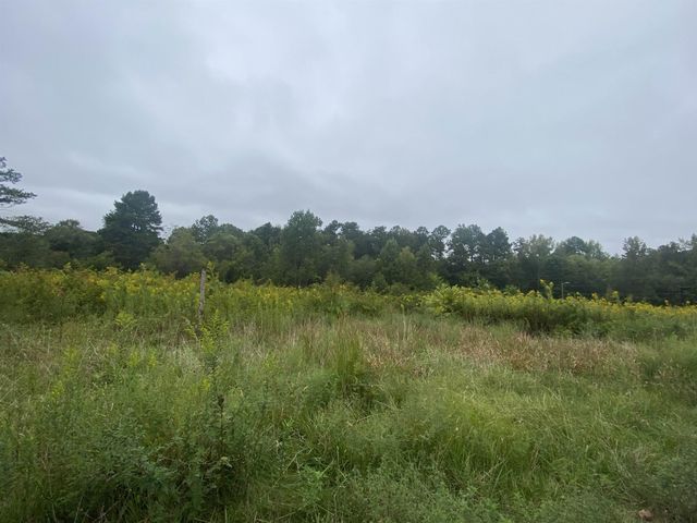 740 Cornelius Street, Hillsborough, NC 27278