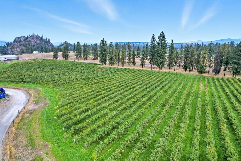 38278 Angels Landing Rd N, Ford, WA 99013 photo 32