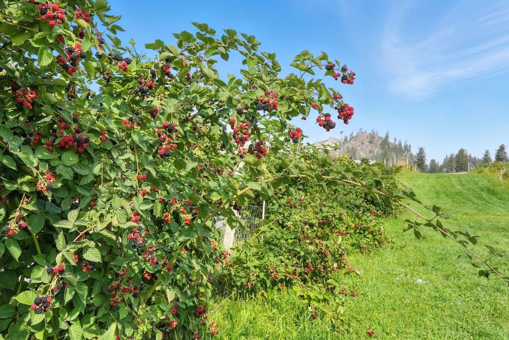 38278 Angels Landing Rd N, Ford, WA 99013 photo 40