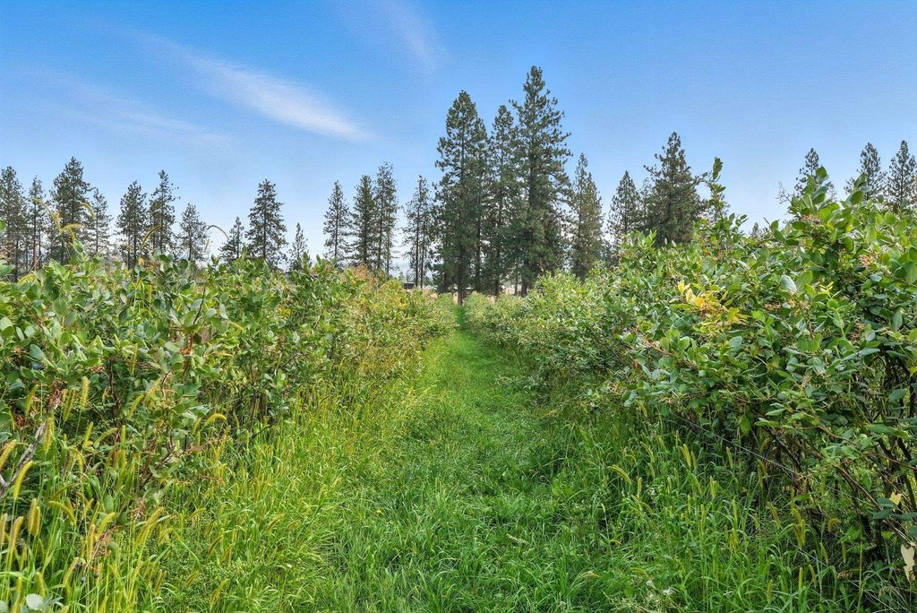 38278 Angels Landing Rd N, Ford, WA 99013 photo 5