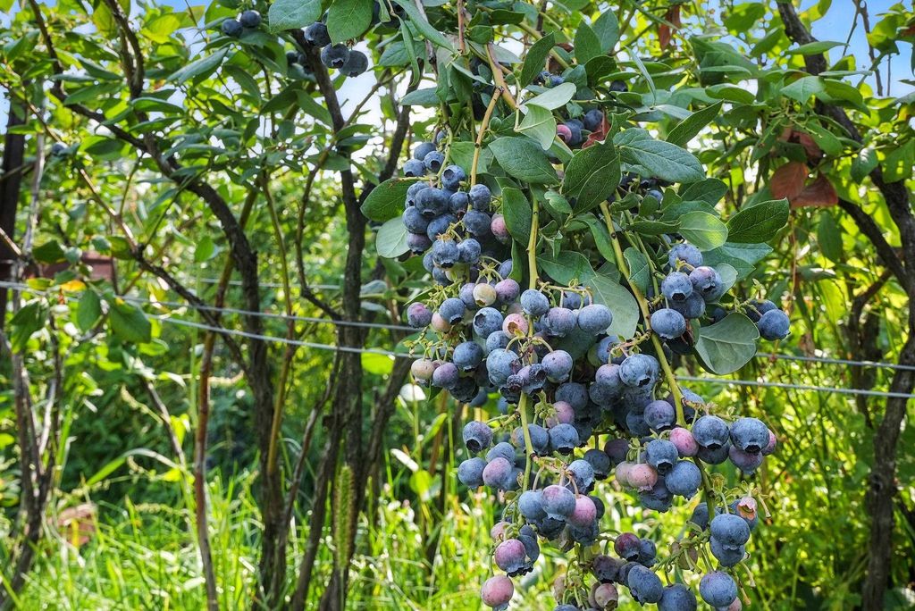 38278 Angels Landing Rd N, Ford, WA 99013 photo 6