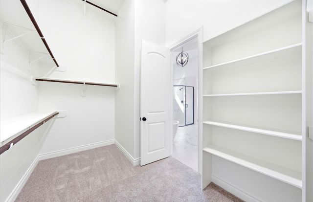 9749 Roaring River Falls Lane, Porter, TX 77365