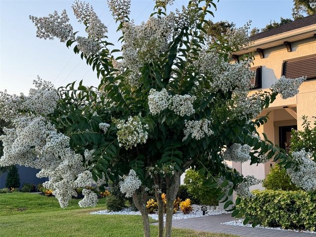 14110 TOMENTOSA AVENUE, Riverview, FL 33569