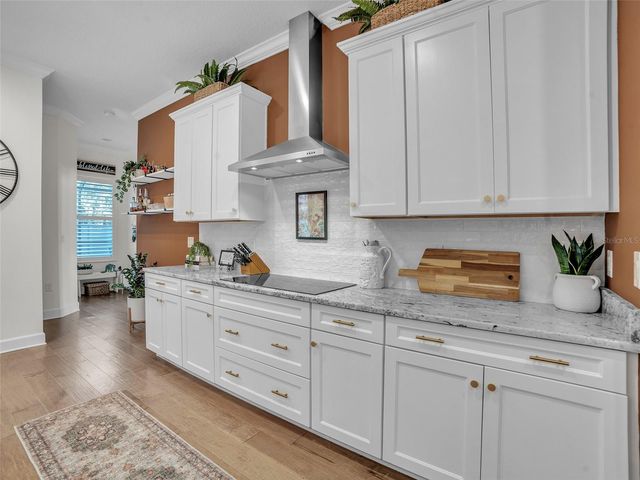 14110 TOMENTOSA AVENUE, Riverview, FL 33569