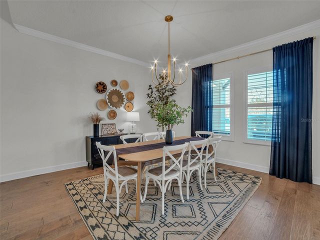 14110 TOMENTOSA AVENUE, Riverview, FL 33569