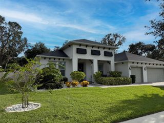 14110 TOMENTOSA AVENUE, Riverview, FL 33569