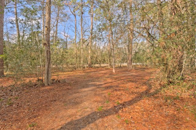 8903 Sendera Drive, Magnolia, TX 77354