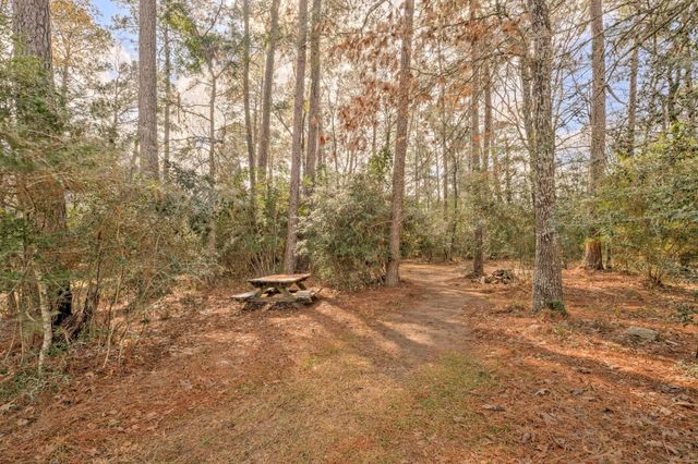 8903 Sendera Drive, Magnolia, TX 77354