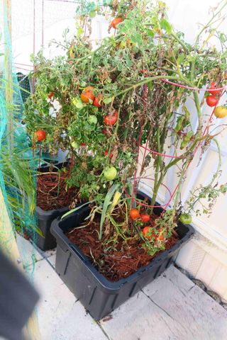 51010 Galina Bay, Boynton Beach, FL 33436