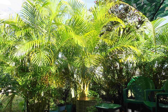 51010 Galina Bay, Boynton Beach, FL 33436