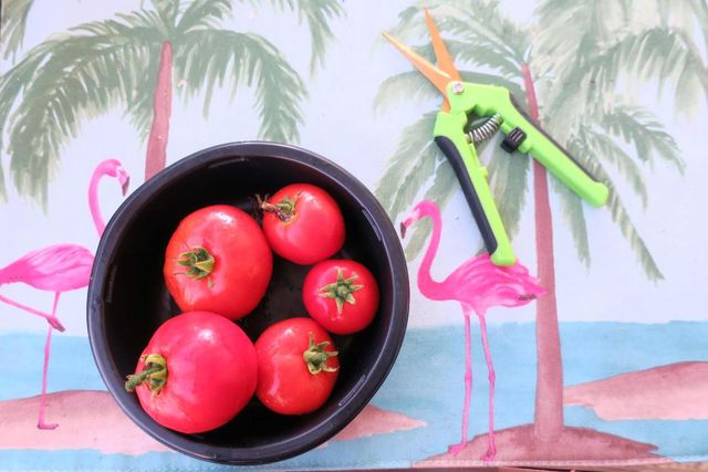 51010 Galina Bay, Boynton Beach, FL 33436