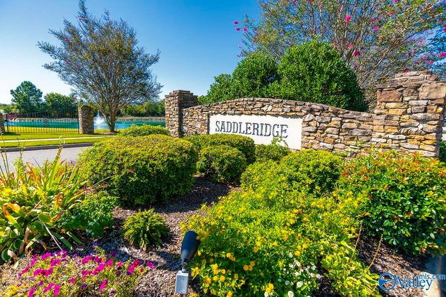 4901 Saddle Ridge Drive, Owens Cross Roads, AL 35763