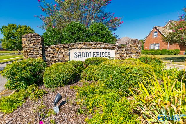4901 Saddle Ridge Drive, Owens Cross Roads, AL 35763