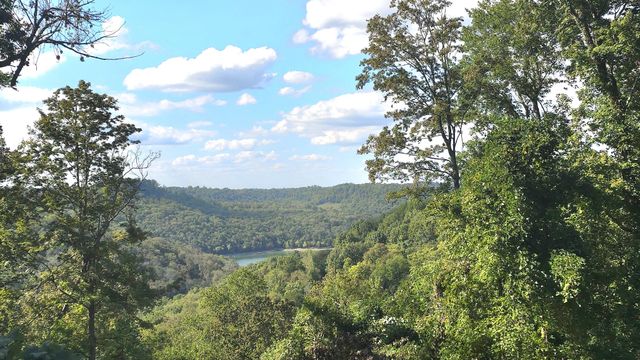 0 Lola Dr, Smithville, TN 37166