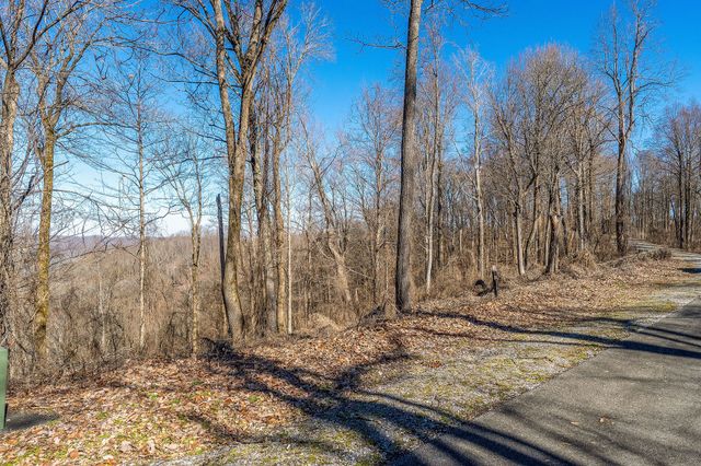 0 Lola Dr, Smithville, TN 37166