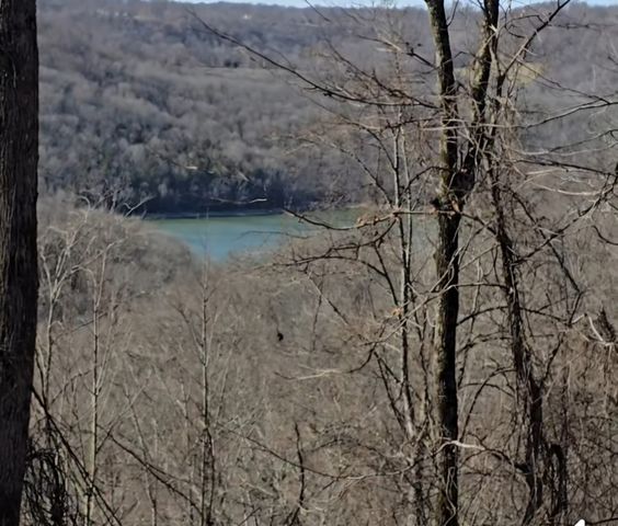 0 Lola Dr, Smithville, TN 37166