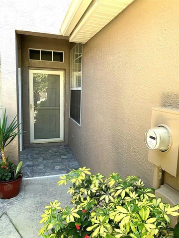 11106 WINDSOR PLACE CIRCLE, Tampa, FL 33626