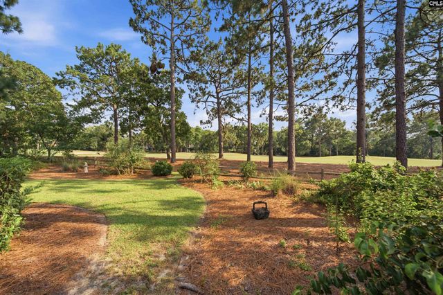 66 Mallet Hill Court, Columbia, SC 29223