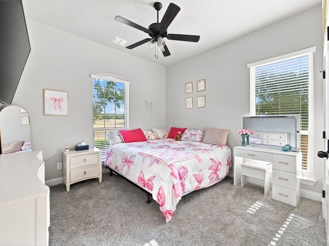 128 Paradise Oaks Court, Paradise, TX 76073