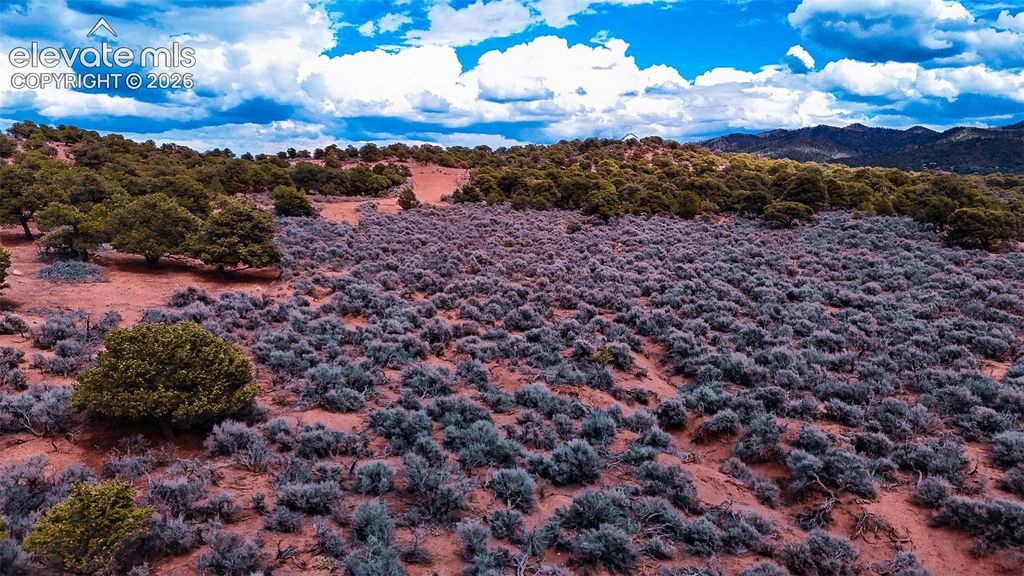 3687 Schiefflin Road, Fort Garland, CO 81133 — exterior