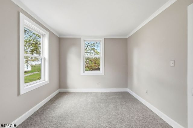 15 Maple Ave, Newton Town, NJ 07860