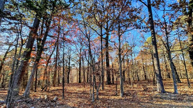 14 Big Bear Road, Kansas, OK 74347