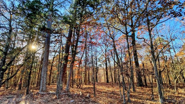 14 Big Bear Road, Kansas, OK 74347