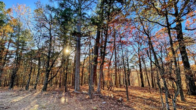14 Big Bear Road, Kansas, OK 74347