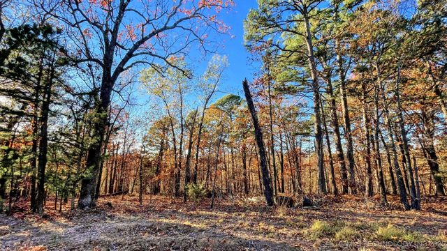 14 Big Bear Road, Kansas, OK 74347