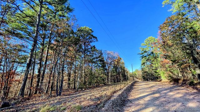 14 Big Bear Road, Kansas, OK 74347