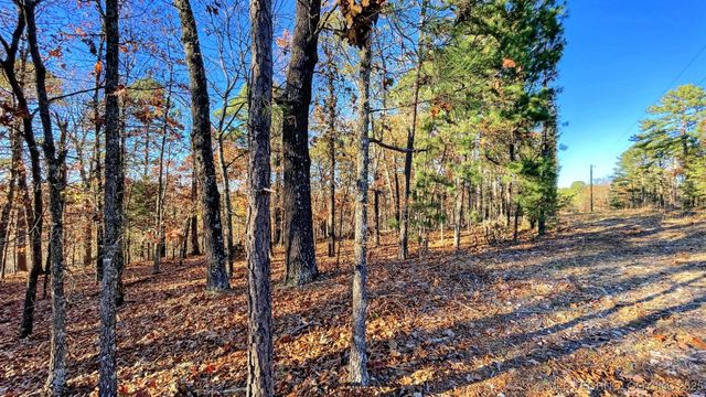 14 Big Bear Road, Kansas, OK 74347