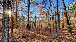 14 Big Bear Road, Kansas, OK 74347