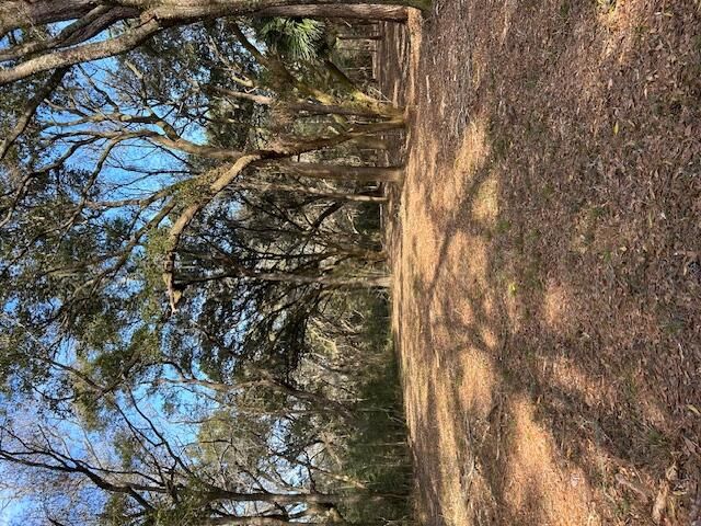 57 Seaside Road, Edisto Island, SC 29438