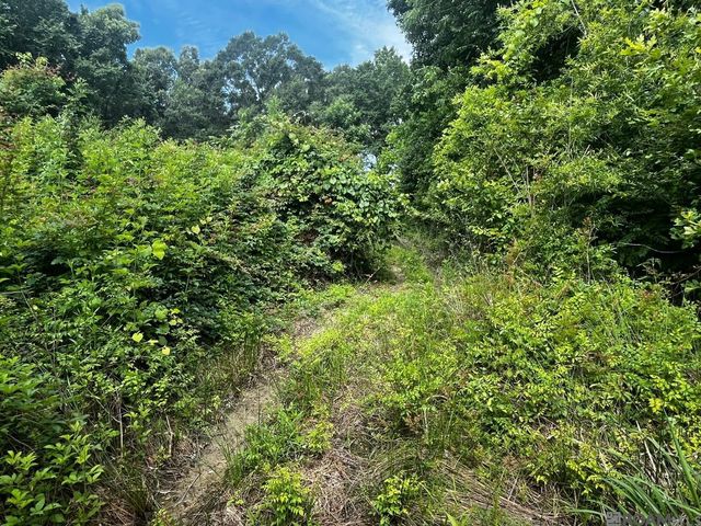 18247 Eric Dr, Zachary, LA 70791