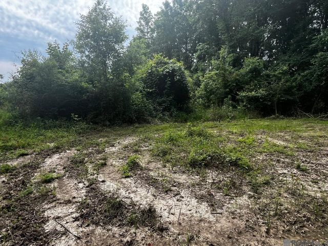 18247 Eric Dr, Zachary, LA 70791
