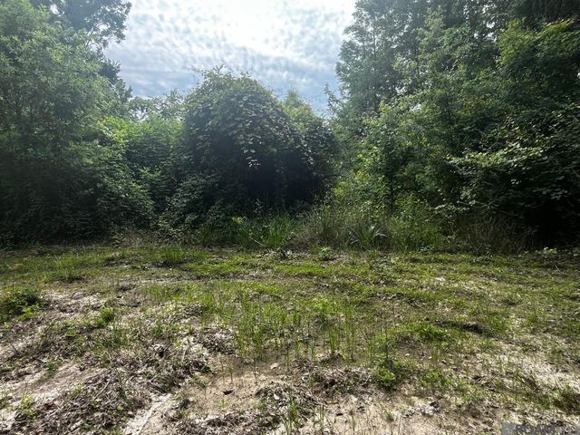 18247 Eric Dr, Zachary, LA 70791