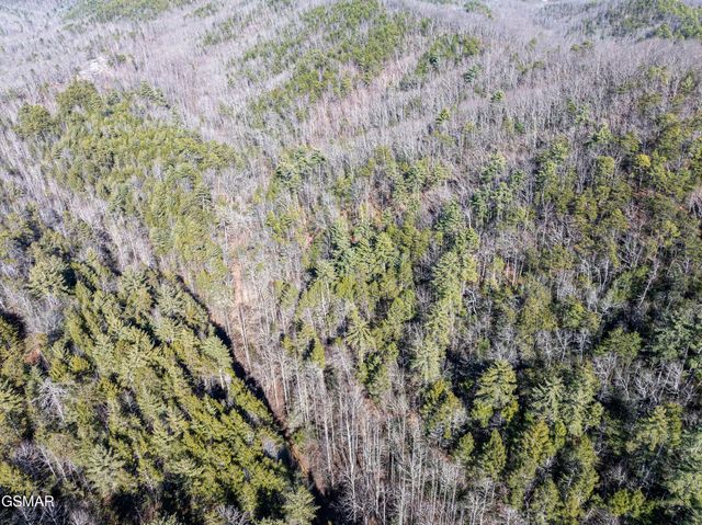 Tract 4 Wilhite Road, Sevierville, TN 37876