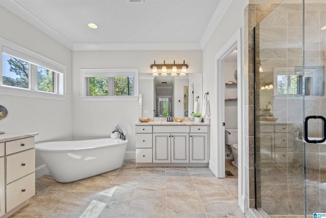 201 ANNA CREEK DRIVE, Helena, AL 35080