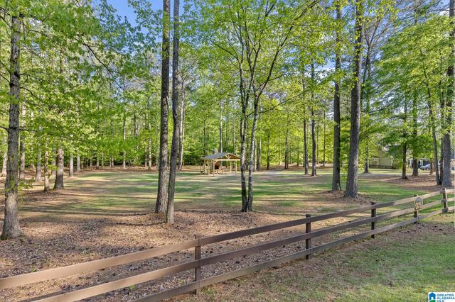 201 ANNA CREEK DRIVE, Helena, AL 35080