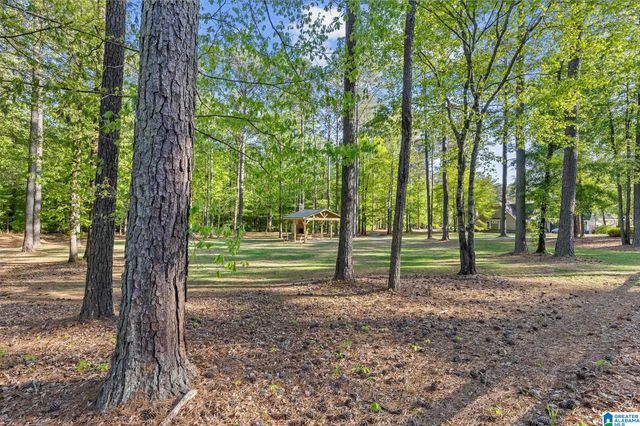 201 ANNA CREEK DRIVE, Helena, AL 35080