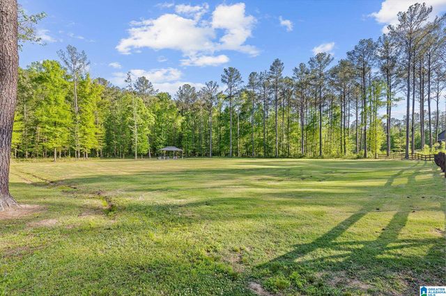 201 ANNA CREEK DRIVE, Helena, AL 35080