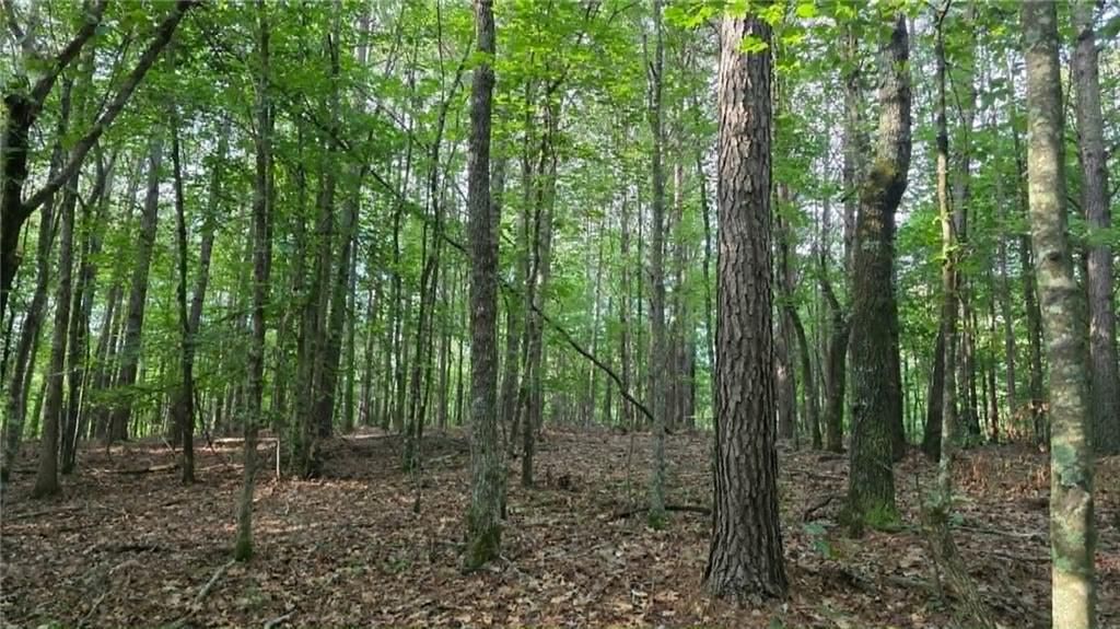 Image 10 of property listing at 0 Lucas Lane, Dallas, GA 30132