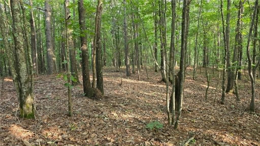 Image 11 of property listing at 0 Lucas Lane, Dallas, GA 30132