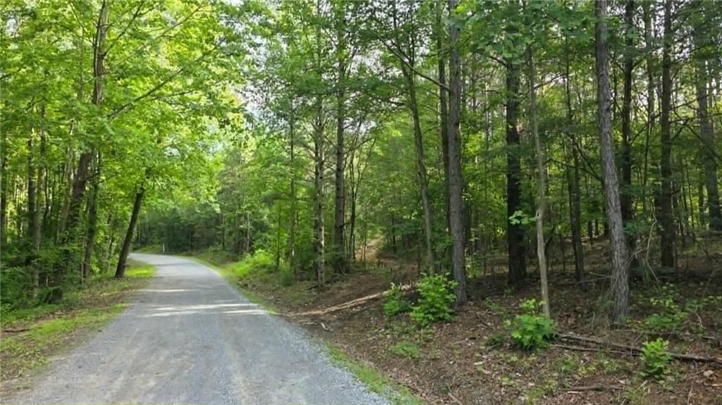 Image 12 of property listing at 0 Lucas Lane, Dallas, GA 30132